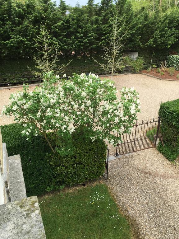 Bed and Breakfast Manoir Le Mesnil Saint-Martin-aux-Chartrains Екстер'єр фото