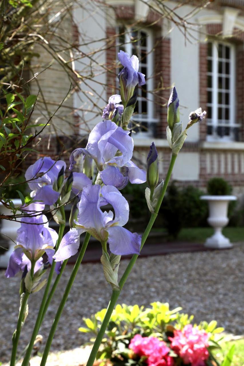 Bed and Breakfast Manoir Le Mesnil Saint-Martin-aux-Chartrains Екстер'єр фото